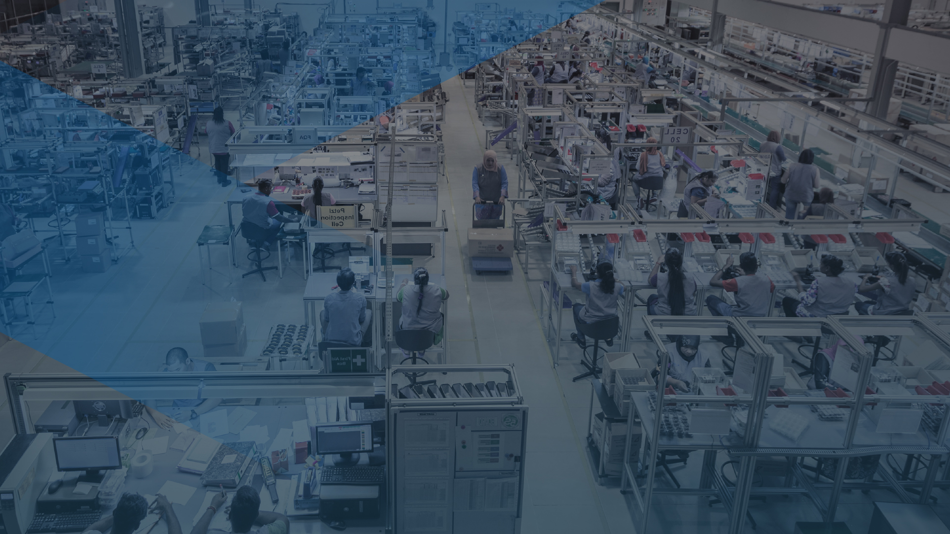  Creativity Powered by Knowledge 